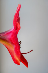 Similar image 20998918