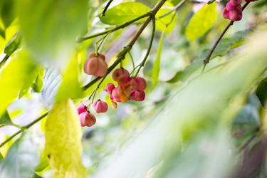 Similar image 20998921