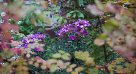 Similar image 20998923