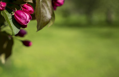 Similar image 20998939