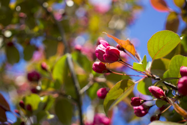 Similar image 20998943