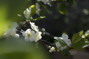 Similar image 20998949