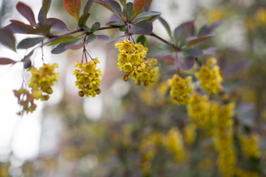 Similar image 20998951