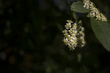 Similar image 20998957