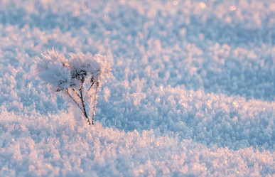 Similar image 20998966