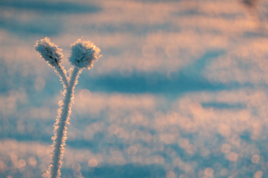 Similar image 20998967