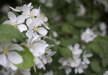 Similar image 20998971