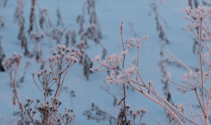 Similar image 20998973