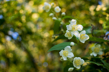 Similar image 20998974