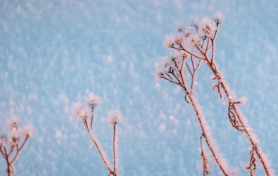 Similar image 20998975