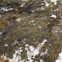 Similar image 20998983