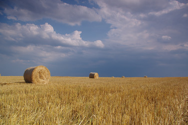 Similar image 21011656