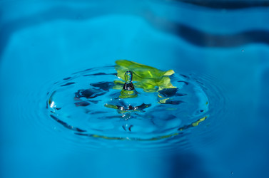 Similar image 21011657