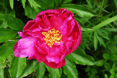 Similar image 20998434