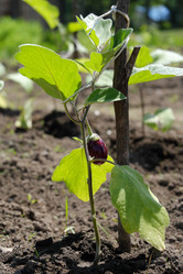 Similar image 20998437