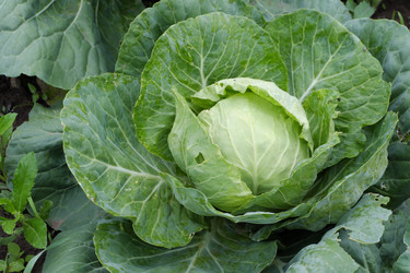 Similar image 20998441