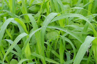 Similar image 20998442