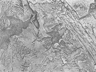 Similar image 21002278