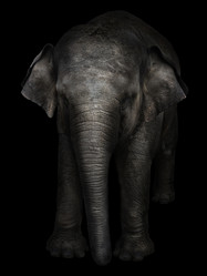 Similar image 21002280