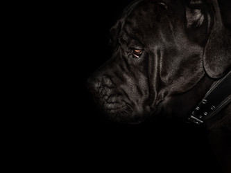 Similar image 21002281