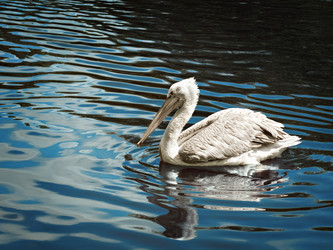 Similar image 21002282