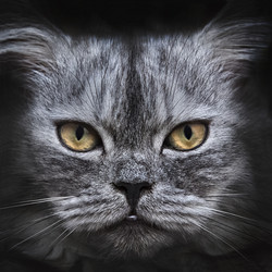 Similar image 21002320