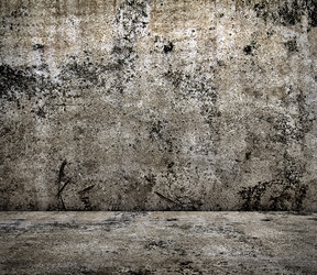 Similar image 21002337