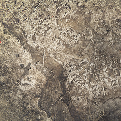 Similar image 21002339