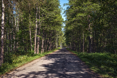 Similar image 21002430