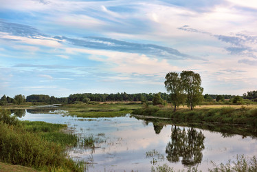 Similar image 21002432