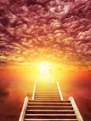 Similar image 21002439