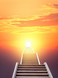 Similar image 21002442