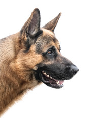 Similar image 21002293