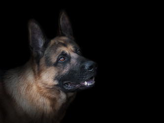 Similar image 21002294