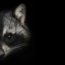 Similar image 21002354