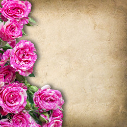 Similar image 21002372