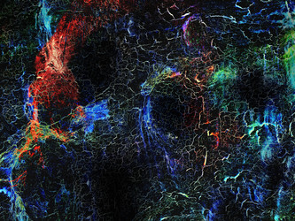 Similar image 21002379