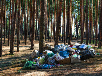 Similar image 21002454