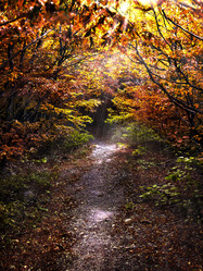 Similar image 21002456