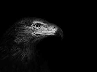 Similar image 21002568