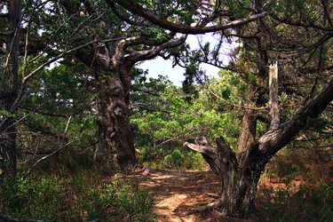 Similar image 21002569