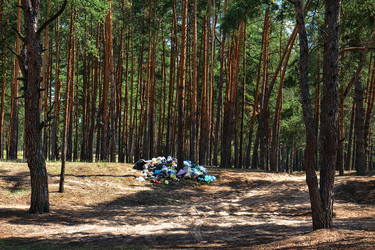 Similar image 21002576