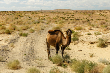 Similar image 20999919