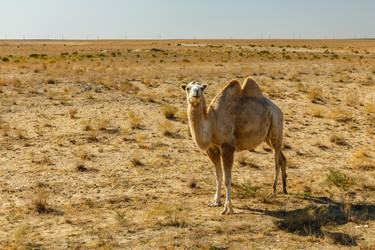 Similar image 20999921