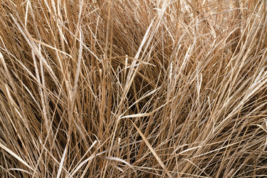 Similar image 21002299