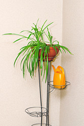 Similar image 21002301