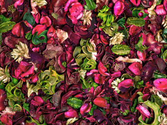 Similar image 21002389