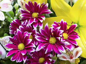 Similar image 21002393