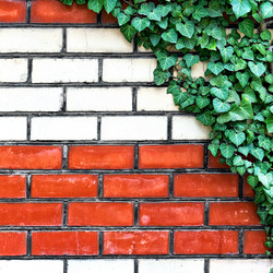 Similar image 21002394