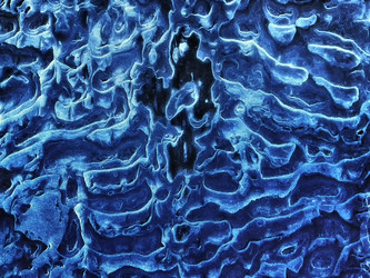 Similar image 21002396